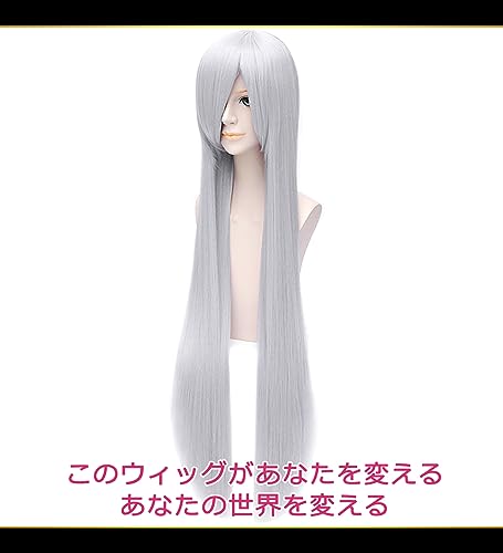 CaseEden Cosplay Wig, Premium, Smooth, Straight, Long, 100cm, Silver, 6043