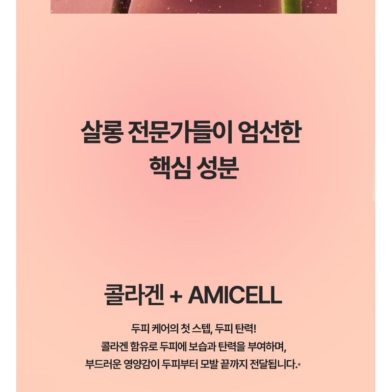 JENNY HOUSE Salon Therapy Damage Care Shampoo