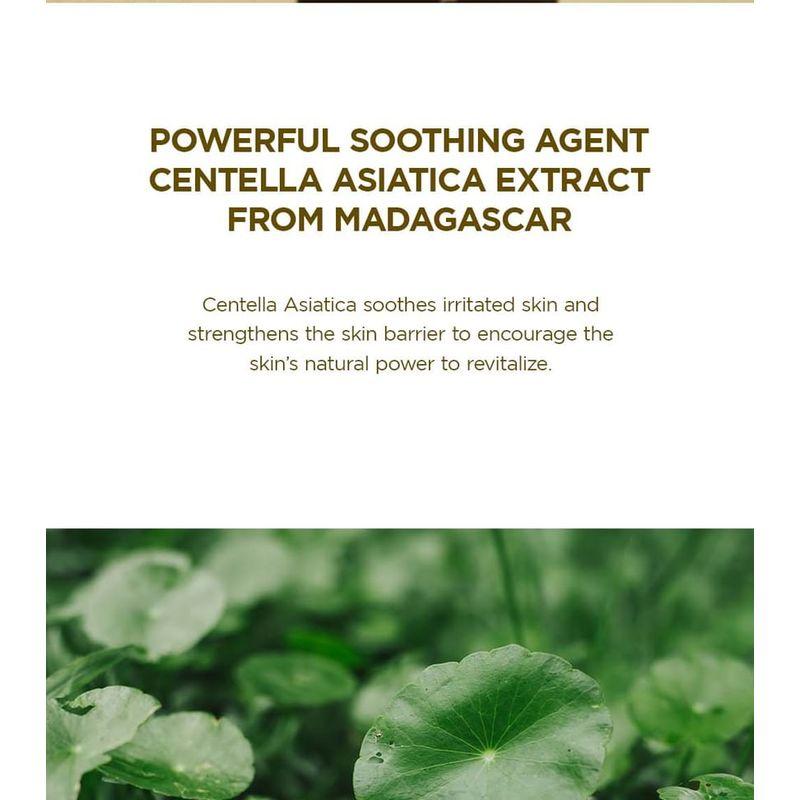 SKIN 1004 - Madagascar Centella Ampoule Bundle Set