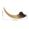 Realistic Resin Dinosaur Claw Sculpture Tyrannosaurus Claw Statue Prehistoric Animal Bone Decor for Dinosaur Themed Room Party