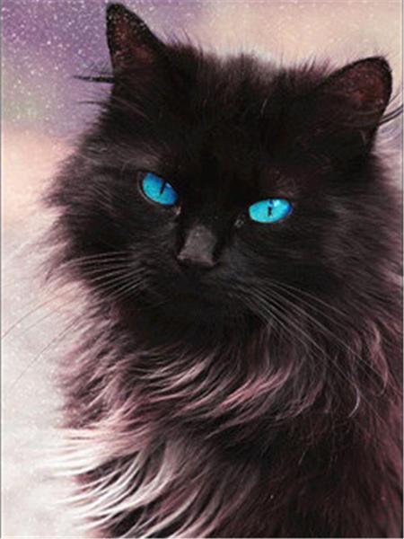 Diamond Painting Cat 5D DIY Diamond Embroidery Sale Cross Stitch Animals Rhinestones Mosaic Kit Home Decoration