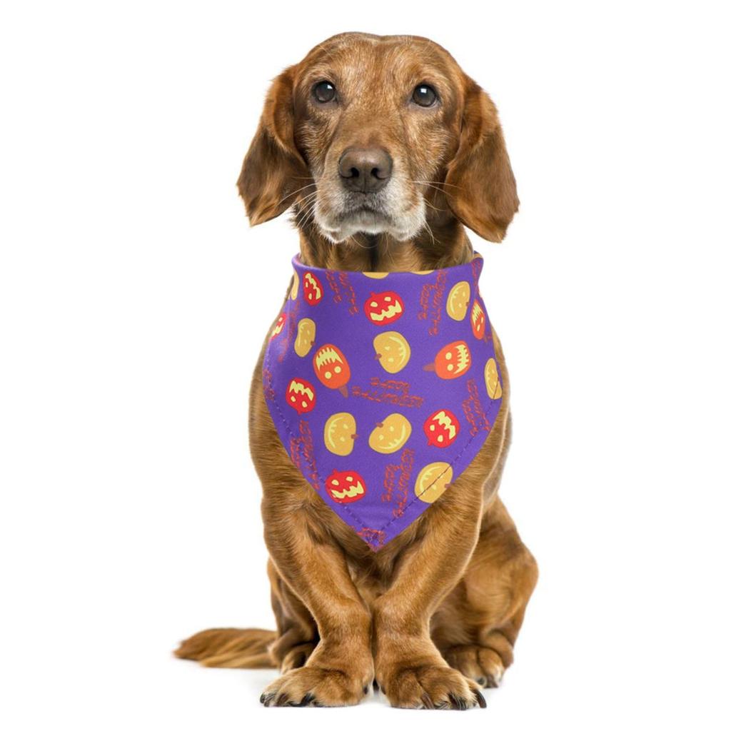 Halloweenský duch mazlíček bandana roztomilý a všestranný kočka a pes mazlíček bryndák