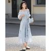 Demana Embroidered A-Line Mid-Length Summer Dress