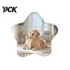 Magnetic Picture Frames 10Pcs DIY Fridge Magnet Kit, Clear Acrylic Photo Frame Set Set, Custom Making Kit for Crafts, Kitchen, Classroom Mini