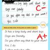 2026 New Edition English Handwriting Copybook for Grades 3-6, Semesters 1 & 2