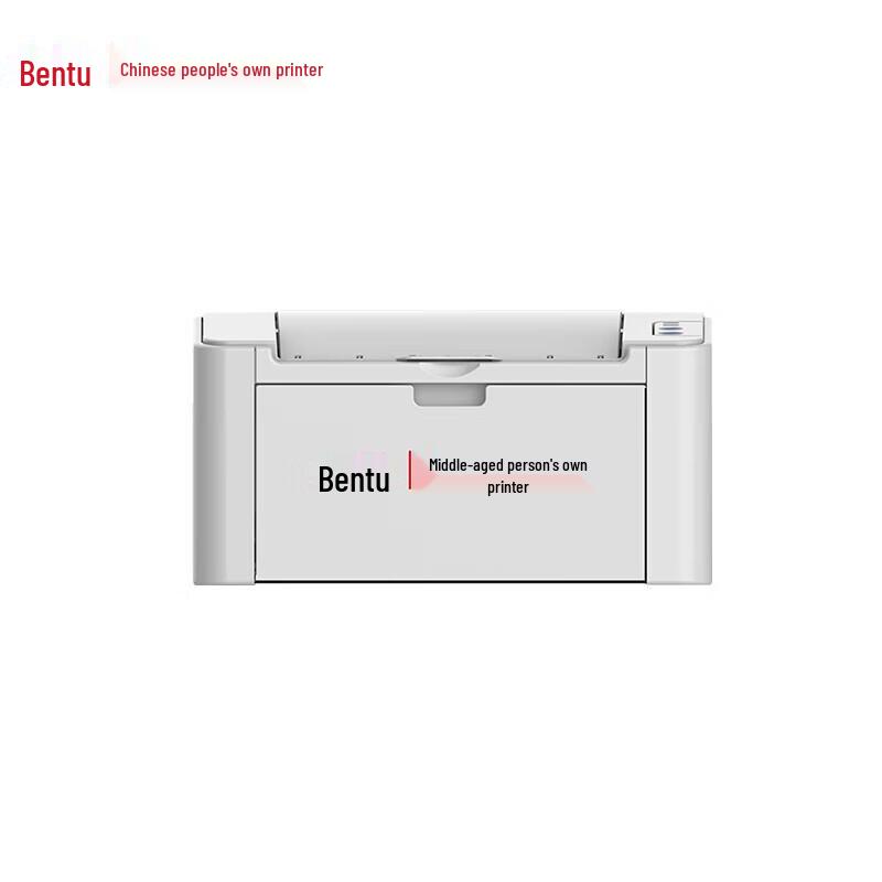 Pantum P2516 A4 Mono Laser Printer CN plug (adapter included)