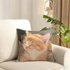 Cute Pet Animal Cushion Cover Reversible Plush Pillow Cover Soft Fluffy Home Decor for Sofa Bedroom