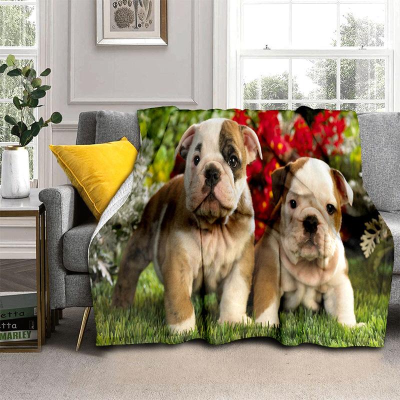 3D Francouzský Pit Bull Pes Domácí Mazlíček Kreslenádeka, Měkká Přehozovádeka pro Domov Ložnici Postel Pohovku Piknik Cestování Kancelář Krycídeka Děti