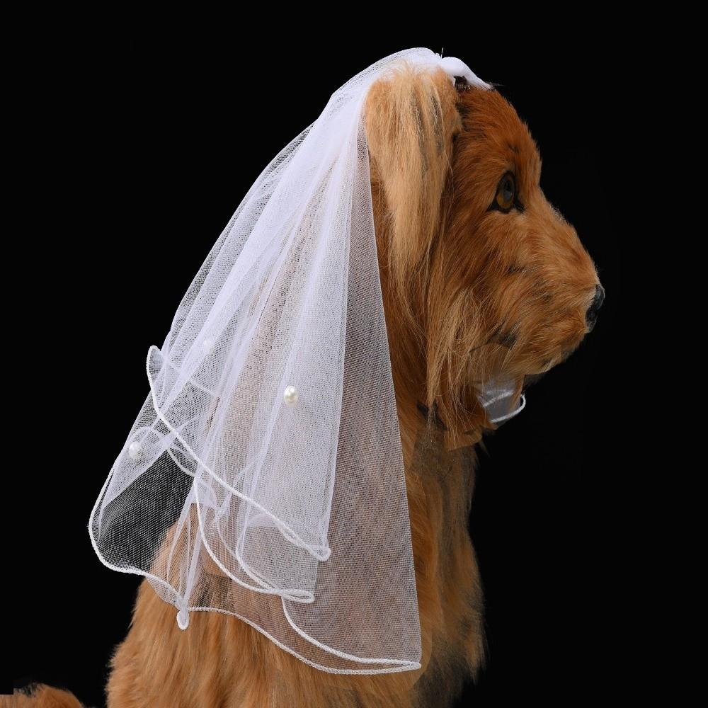 Voal Panglică Pisică Neagră Costum Mireasă Cățel Alb Accesorii Păr Câine Produse Animale de Companie