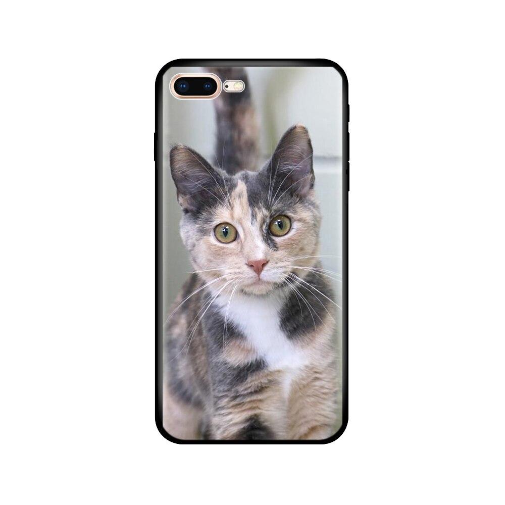 For Iphone 7 8 Case Silicon Soft Tpu Shell Cover For Apple iPhone 7 8 Plus Bag Funda Coque Etui Bumper Paiting Black Tpu Case