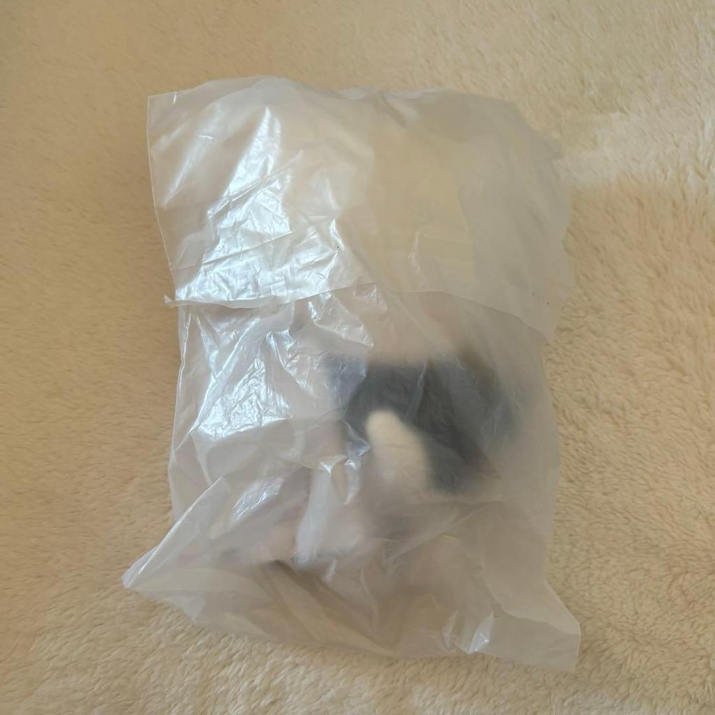 [USED] Stray Kids Magic School Hyunjin Plush Toy Mini