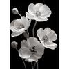 Modern Black and White Flower Posters Abstract Canvas Painting Print Pictures Wall Art Poster Home Living Room Decor Frameless