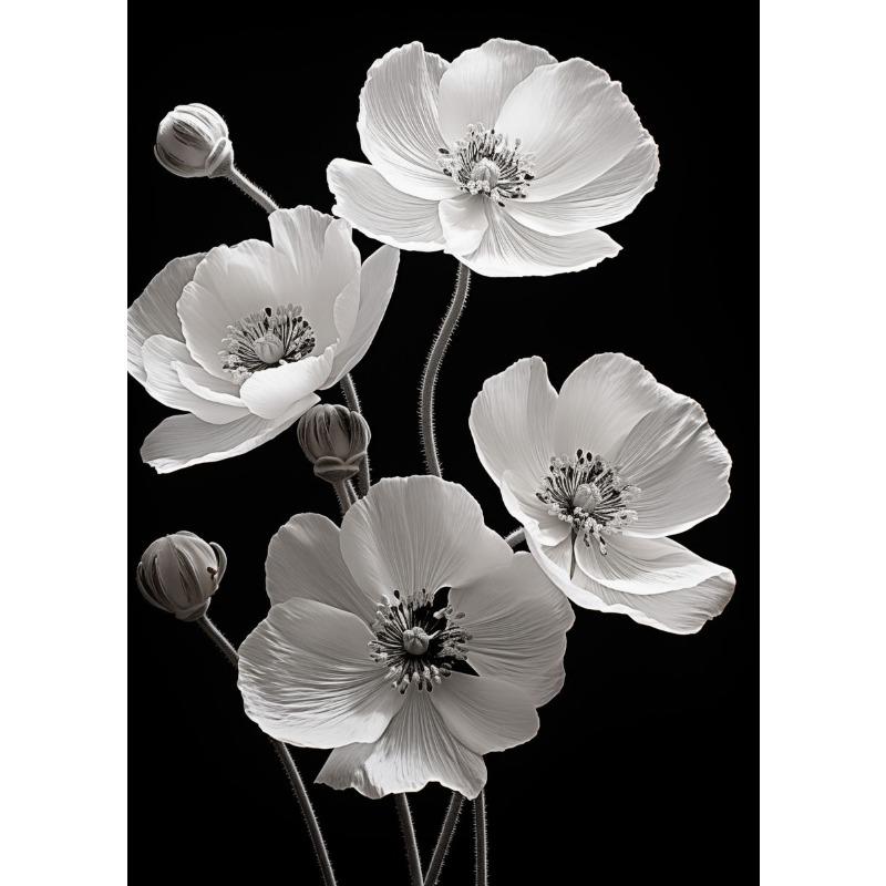 Modern Black and White Flower Posters Abstract Canvas Painting Print Pictures Wall Art Poster Home Living Room Decor Frameless