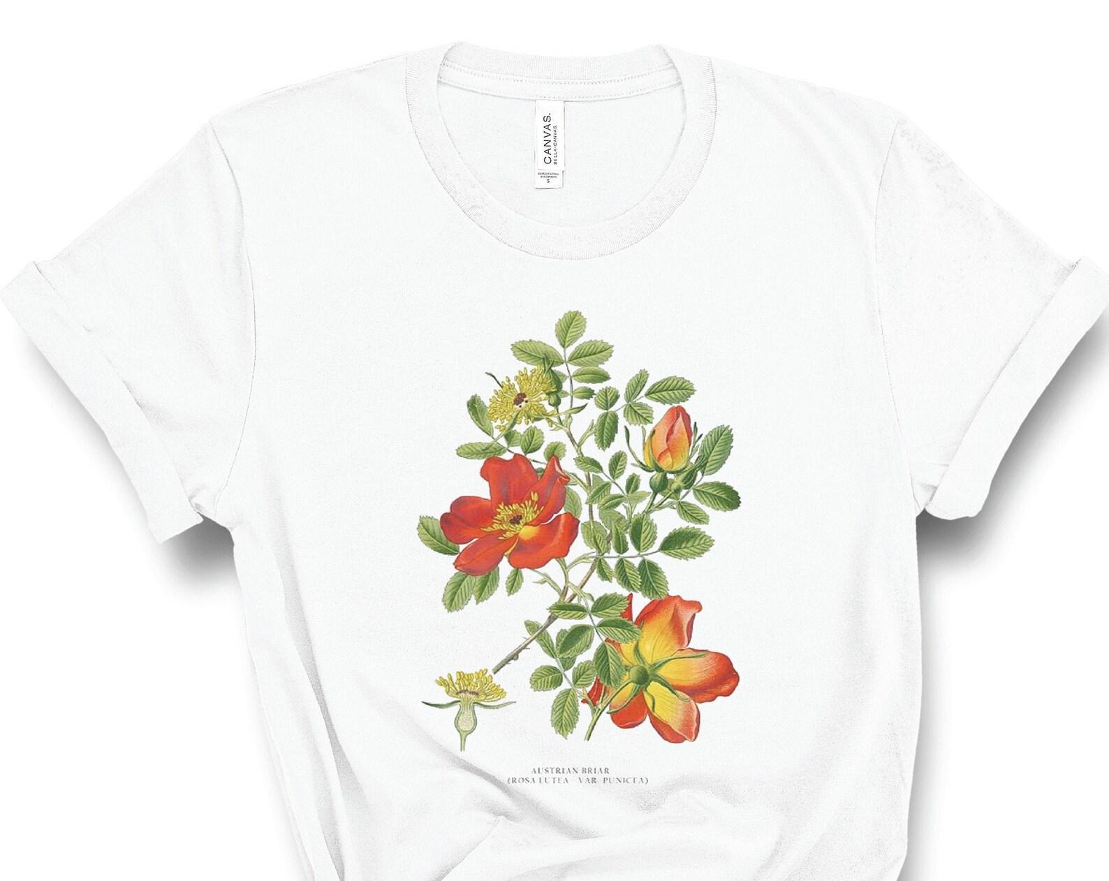 Austrian Briar Rose T-Shirt, Vintage Botanical Tee, Botanical Art, Rosa Foetida, Botanical Illustration, Botany, Flower Tshirt, Aesthetic L