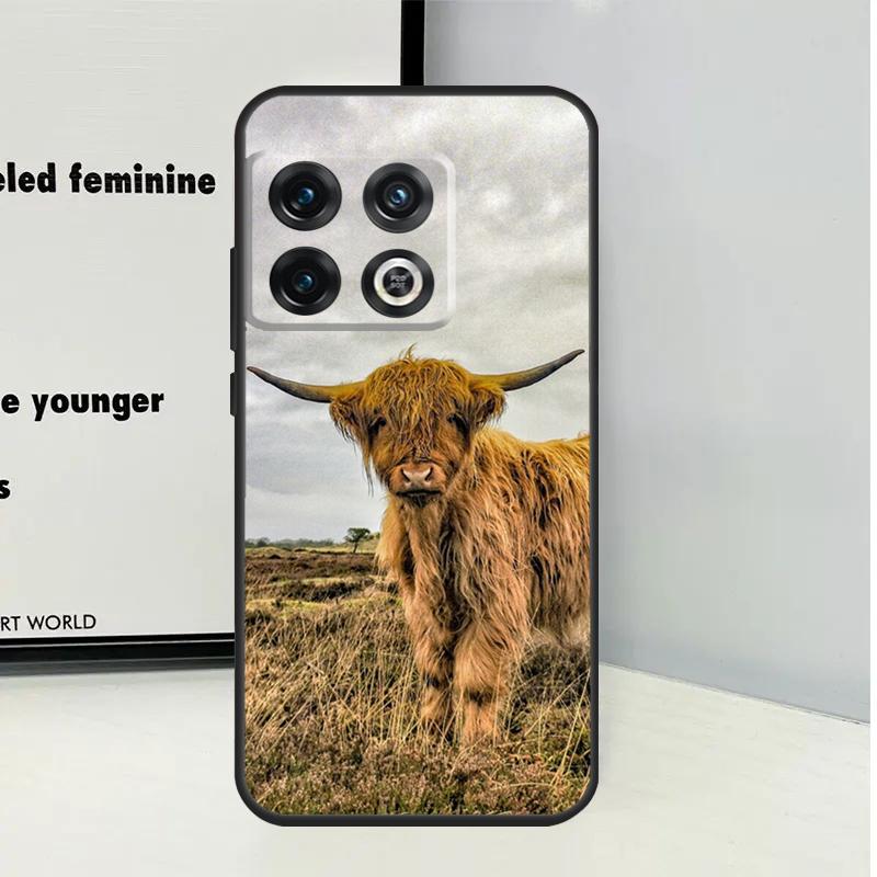 Cute Highland Cow For OnePlus Nord CE 5 2 3 4 Lite N20 N30 Case For OnePlus 13 12 11 9 10 Pro 10T 12R 13R 13T