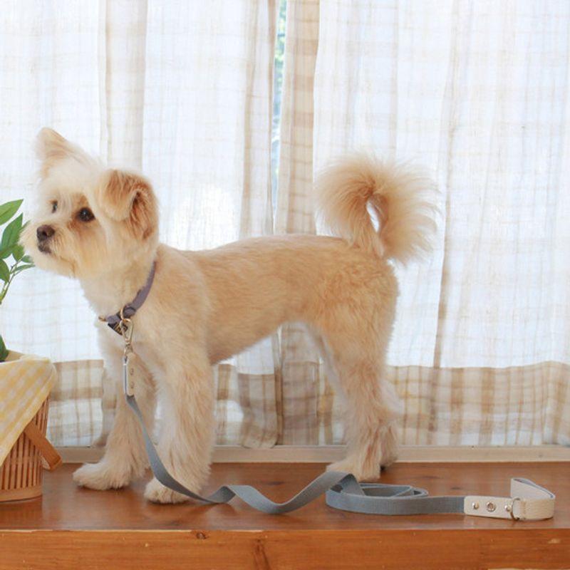 MAISON DE MIU Running Mate Leather&Webbing Lead_White/Light Blue