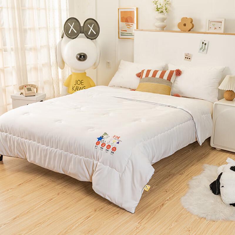 Snoopy Travel Cashmere Quilt