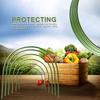 Hoops for Garden,Greenhouse Hoops Wire Tunnel Hoops with Plastic Coated Hoops for Garden Fabric,Plant Support Garden Stakes