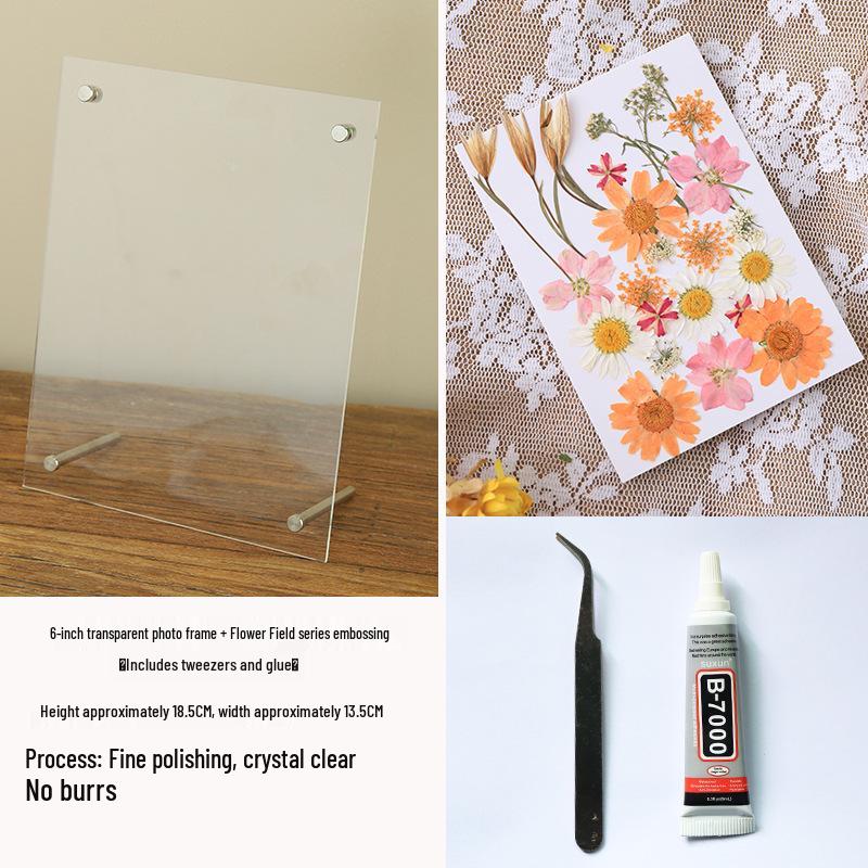 Nordic Simple Acrylic Photo Frame - 6-7 Inch DIY Dried Flower Pressed Specimen