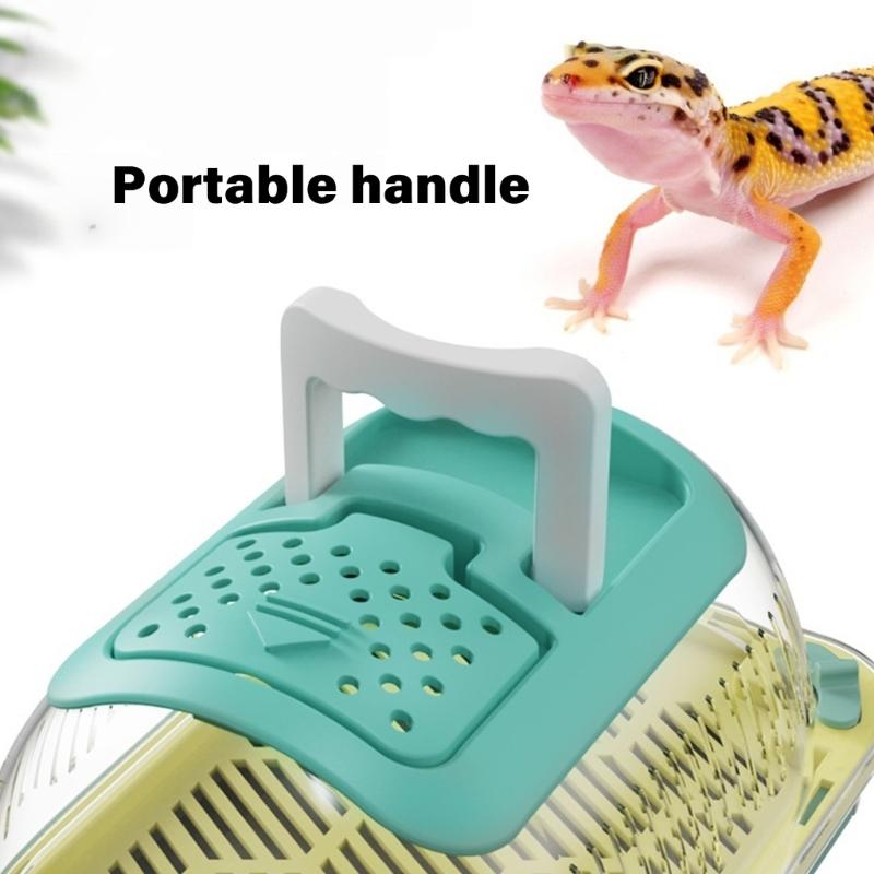 Lizards Box Container with Feeding Port Detachable Bottom Base and Handle Spacious Reptiles Keeper Enclosure
