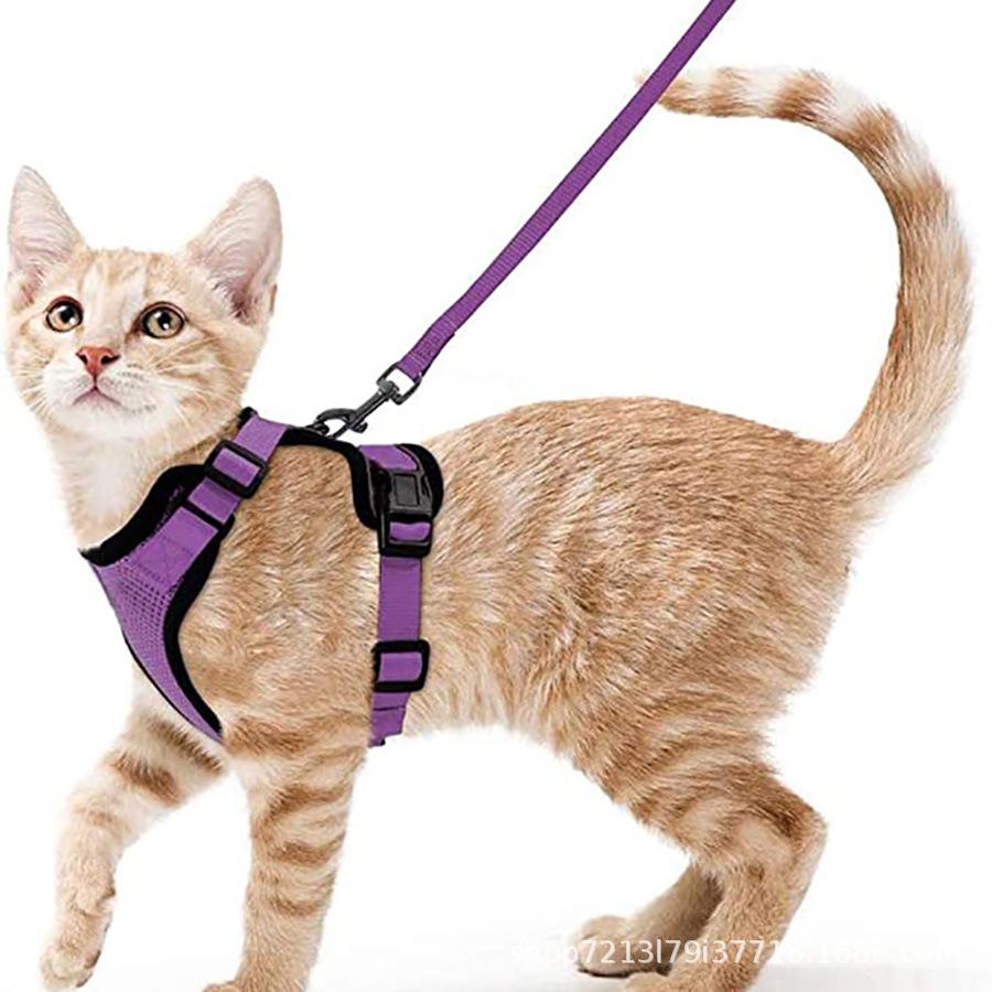 Reflective Cat & Small Dog Breathable Anti-Breakaway Chest Harness with Walking Rope