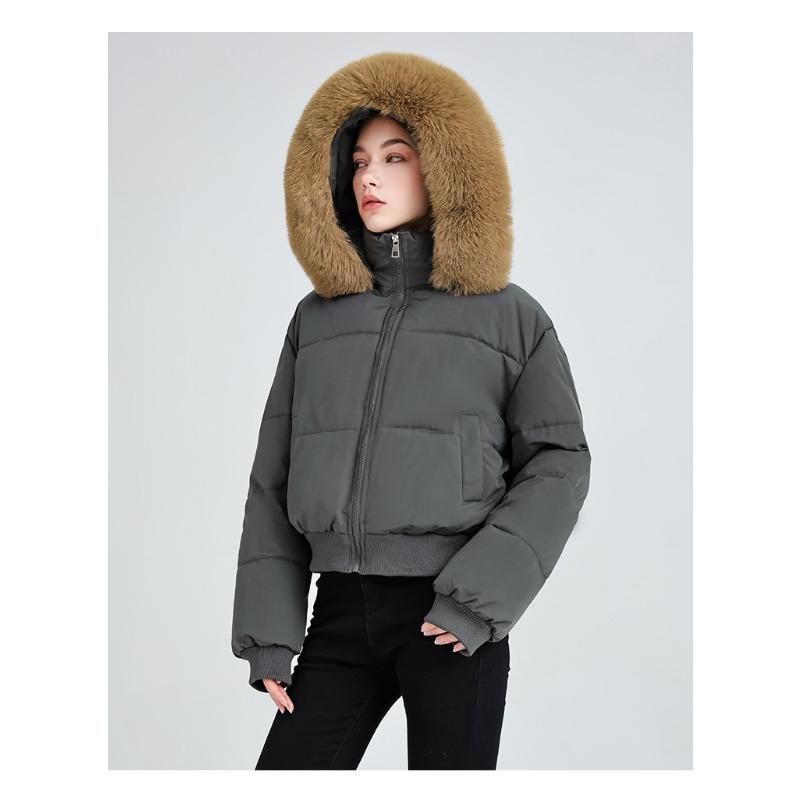 Women`s New Cotton-padded Clothing Winter Thickened