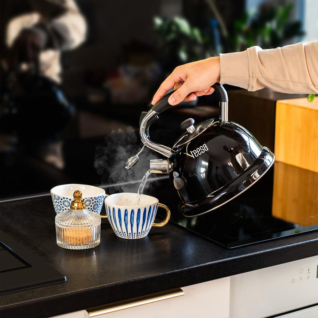 Teesa Stainless Steel Kettle with Whistling 3L Gas Induction