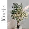 Olive Tree Potted Plant - Indoor Decor Simulation for Living Room