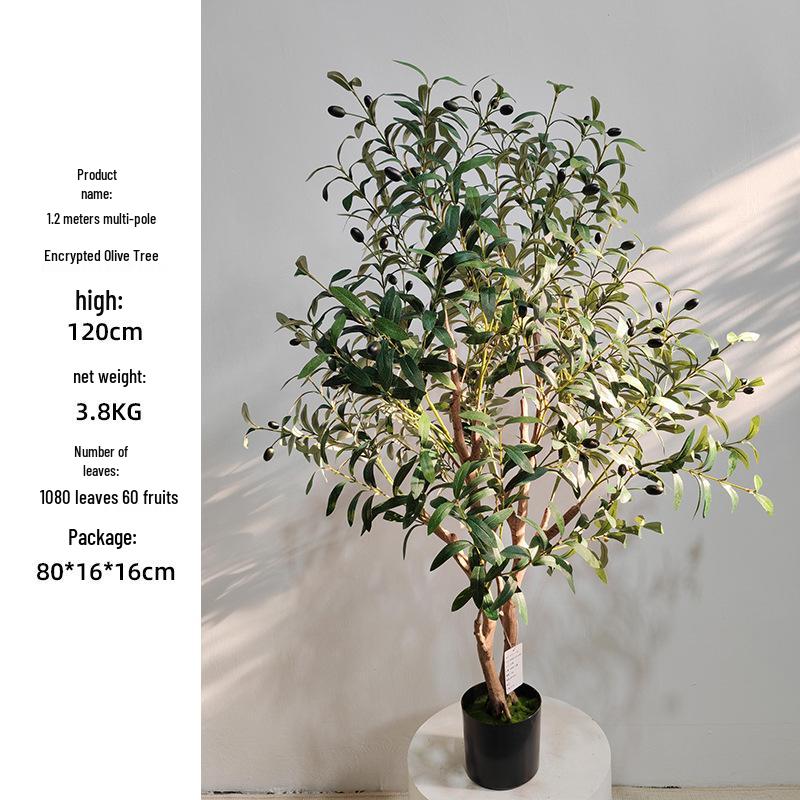 Olive Tree Potted Plant - Indoor Decor Simulation for Living Room