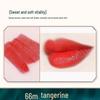 DIY Lipstick Superfine Plant-Based Color-Changing Powder