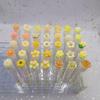 Disposable Flower Series Eyelash Brush with Transparent Test Tube Packaging