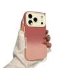 Premium Color Block Skin-feel 2-in-1 Drop-proof Case for iPhone 17 Pro Max/16/15