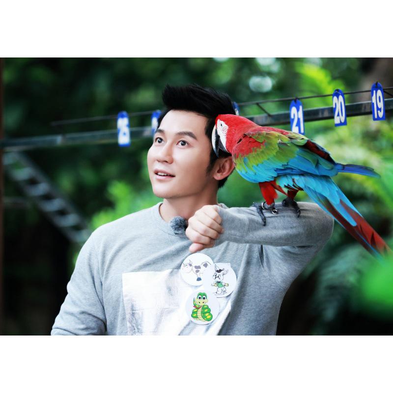 Li Chen Poster: Mainland Male Star Decorative Wall Art for Dorms & Cafes