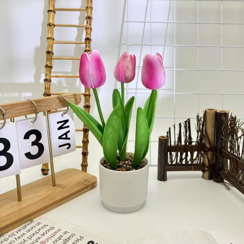 Tulpenblume Grüne Pflanze Flusssteine Bonsai Für Fotografie Und Bürodeko