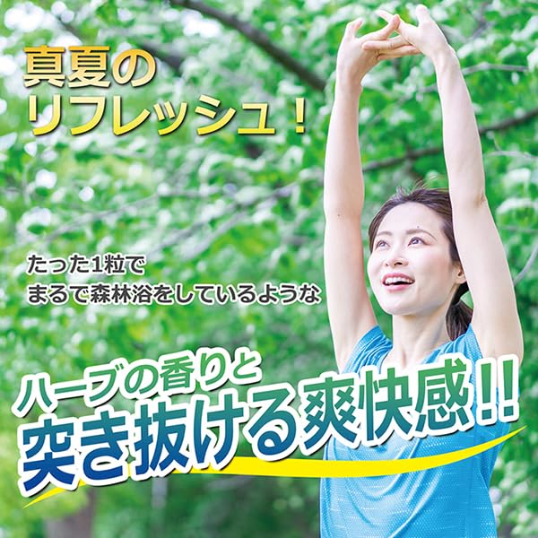 Matsuura Kanpo Echinacea Throat Lozenges 15 pieces 10 packs
