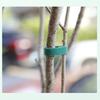5/10 M Adjustable Plant Tape 10MM Plant Supports Bandage Green Garden Tie  Bamboo Cane Wrap