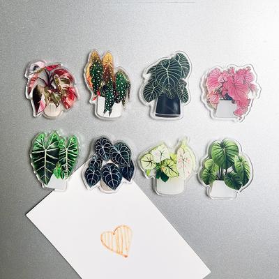 4pcs Potted Plant Fridge Magnet - Double Acrylic Potted Plant Kitchen and Office Decorative Magnet Holiday Souvenir
