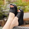 Cool Slippers Women's 2025 New Outer Wear Wedge Heel Women's Shoes Platform Versatile Beach Waterproof Table High Heel Sandals One Word
