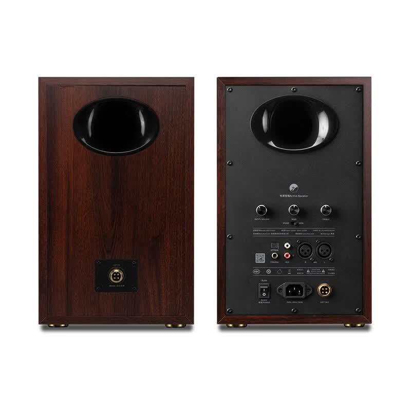 HiVi D300 Active HIFI Bookshelf Speaker CN Plug (adapter Included)