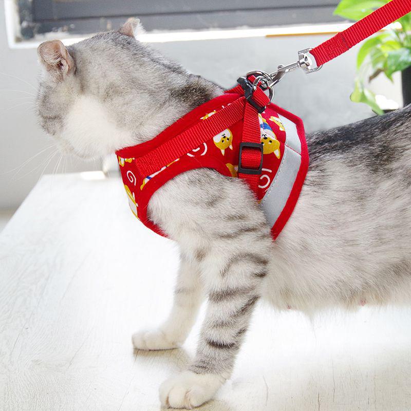 Escape-Proof Outdoor Cat Leash and Harness