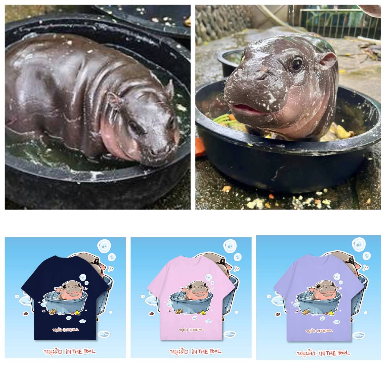 Moo Deng крошечный бегемотик Star Pool Thailand милый карликовый бегемот унисекс — фото 2