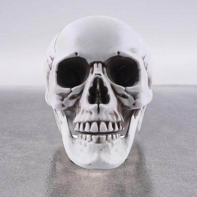 Life Size Human Skull Model Halloween Decor Skeleton Skull Realistic Human Adult Skull Head Bone Model Graveyard Outdoor Decor
