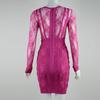 Elegant Rose Red Mesh Lace Bodycon Dress