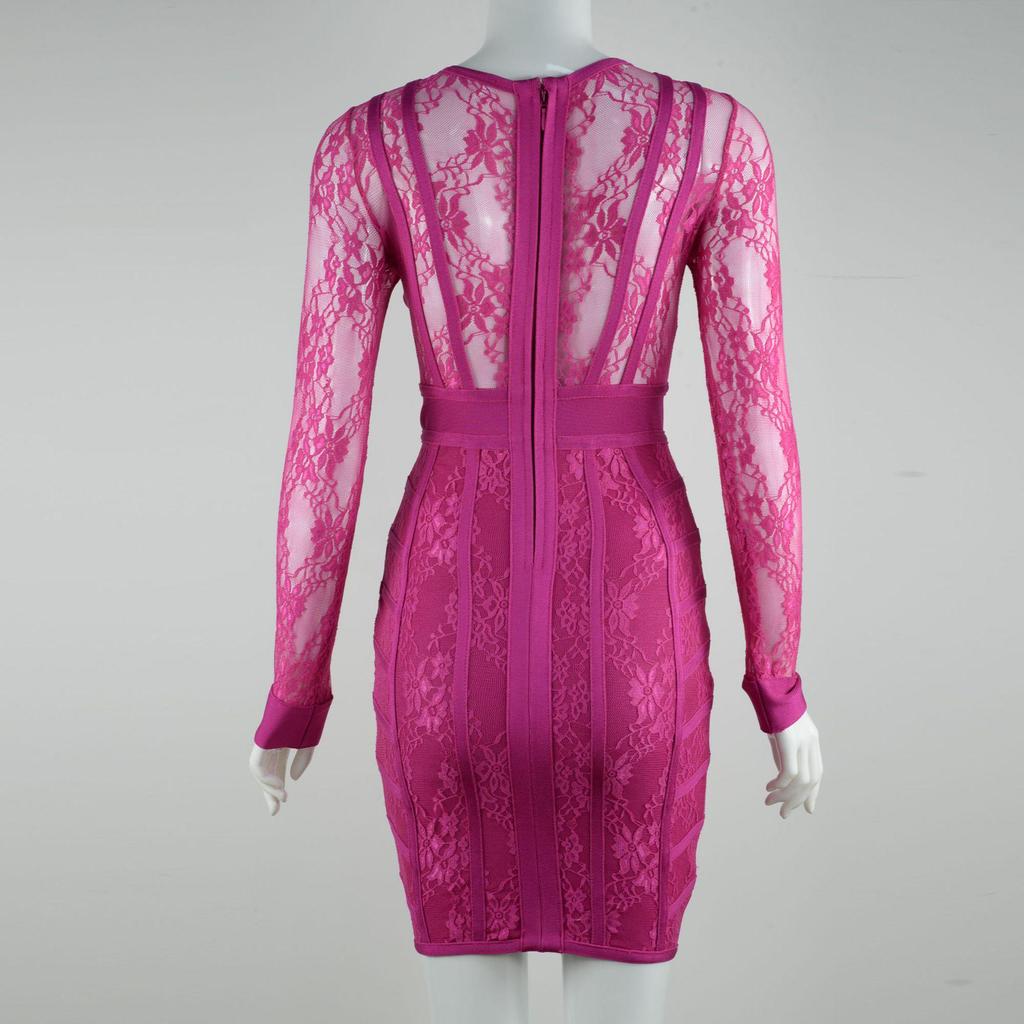 Elegant Rose Red Mesh Lace Bodycon Dress