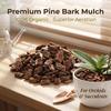 Orchid Planting Mix: Fermented Pine Bark and Scales for Phalaenopsis & Dendrobium Garden Substrate