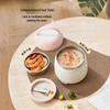 Portable Electric Heating Lunch Box