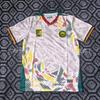 Mens Short Sleeve Soccer Jerseys Cameroon Congo Mali Senegal Benin National Team Fans Football Shirts