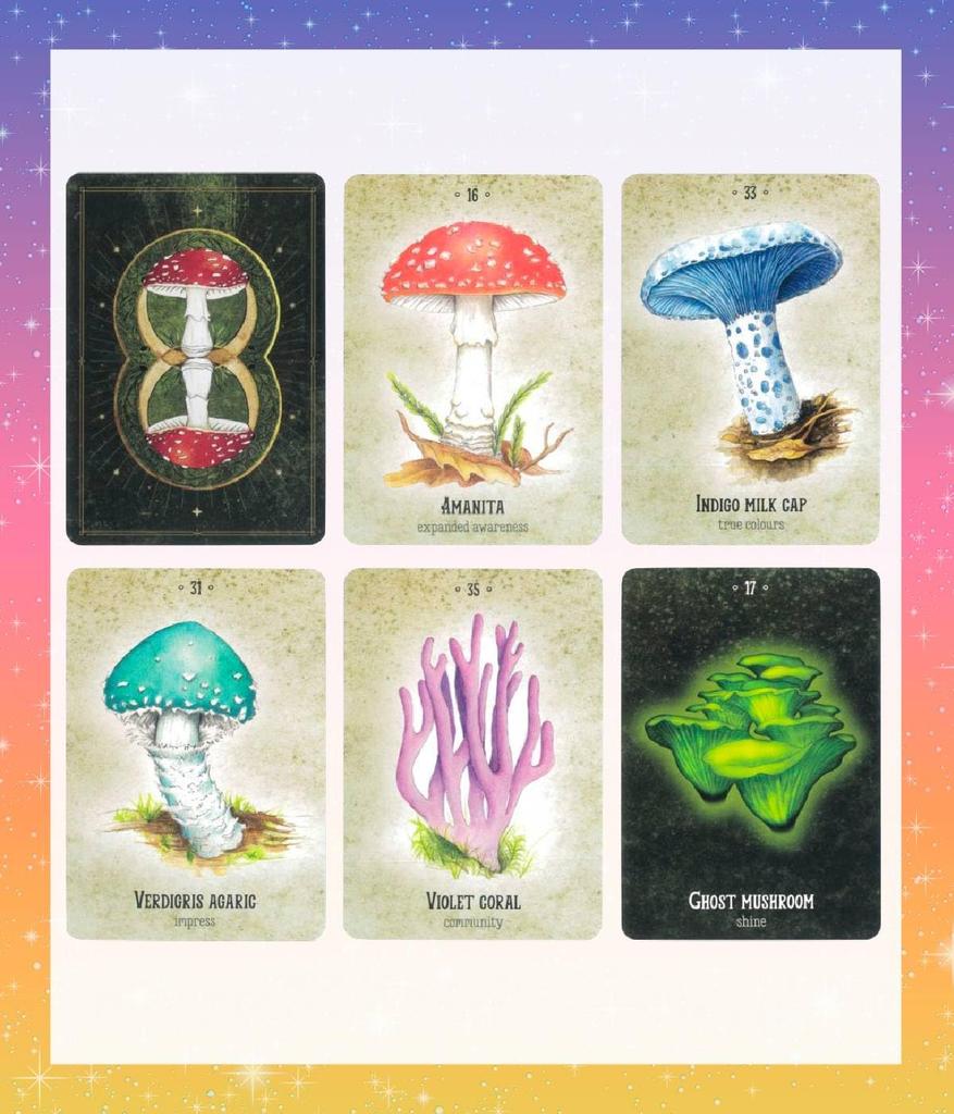 Mushroom Spirit Japanese Instruction Manual Oracle Tarot Fortune Telling Oracle, Included, Cards, Cards, [Authentic]