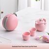 Pink Flower Ceramic Travel Tea Set