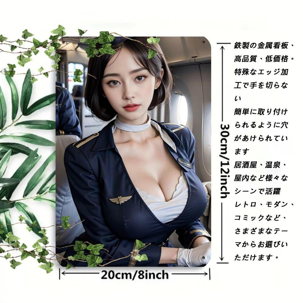 Airline Vintage Metal Tin Sign 8x12 Wall Art Retro Home Bar Decor Easy Install